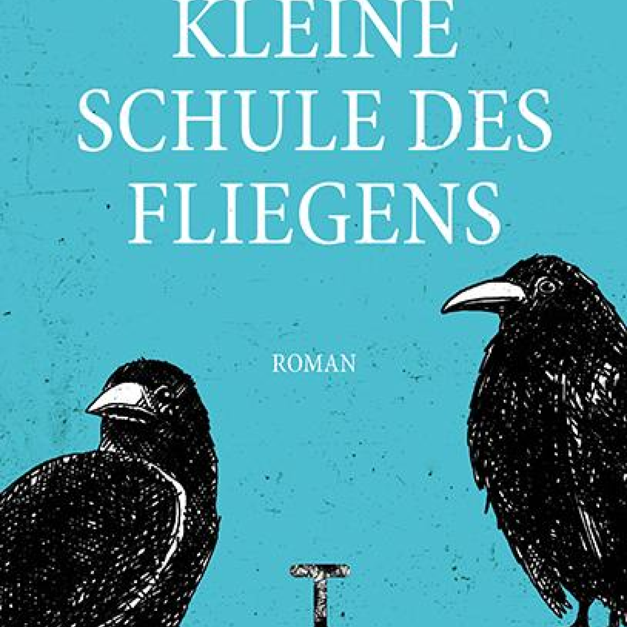 Buch Cover